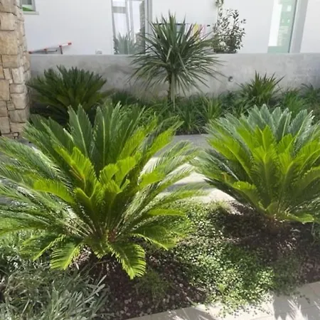 Casa Gardalido Mit Garten Und Pool Appartamento Padenghe sul Garda